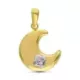 9K COLGANTE ORO BICOLOR LUNA CON TREBOL MINI DE CIRCONITAS 0