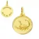 9K HOROSCOPO ORO AMARILLO DISCO 20 MM ESCORPIO 1