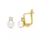 9K PENDIENTES ORO AMARILLO PERLA Y CIRCONITA 7X4 MM CATALAN 0