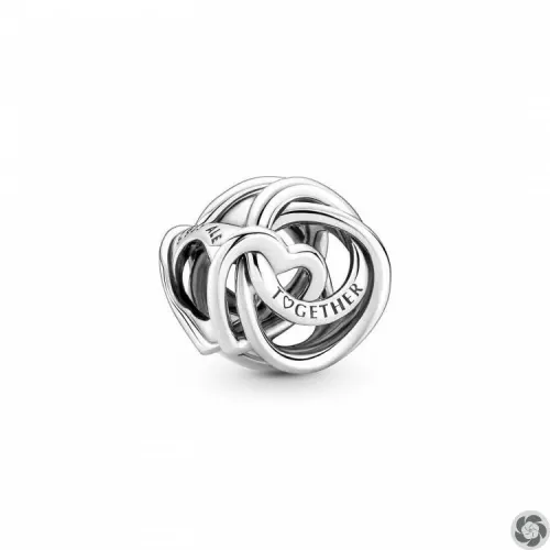 Charm Corazón Círculo Familiar Siempre - 791507C00