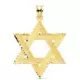18K COLGANTE ORO AMARILLO ESTRELLA DE DAVID 41X34 MM 6