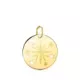 18K COLGANTE ORO AMARILLO REDONDO ROSA DE LOS VIENTOS GRABADA EN BRILLO 18 MM 1