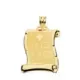 18K PLACA CHAPA COLGANTE PERGAMINO ORO AMARILLO BRILLO RH GRUPO SANGUINEO MATE 22X19 MM 1