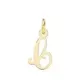 18K COLGANTE ORO AMARILLO LETRA " C " 15X9 MM 0