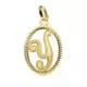 18K COLGANTE ORO AMARILLO INICIAL LETRA Y 21X14 MM 0