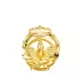18K INSIGNIA ORO AMARILLO INGENIERO NAVAL 17 X 14 MM 2