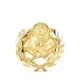18K INSIGNIA ORO AMARILLO MAGISTERIO. 15 X 15 MM 1