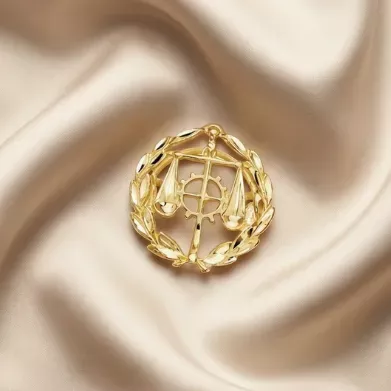 INSIGNIAS PROFESIONALES